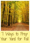 7 Ways to Prep Your Yard for Fall