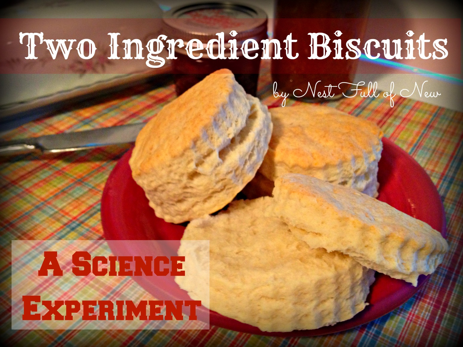 Two Ingredient Biscuits