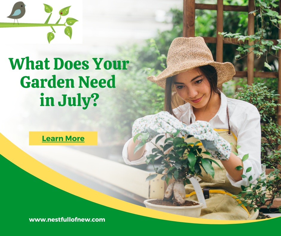 garden tasks for the month of July